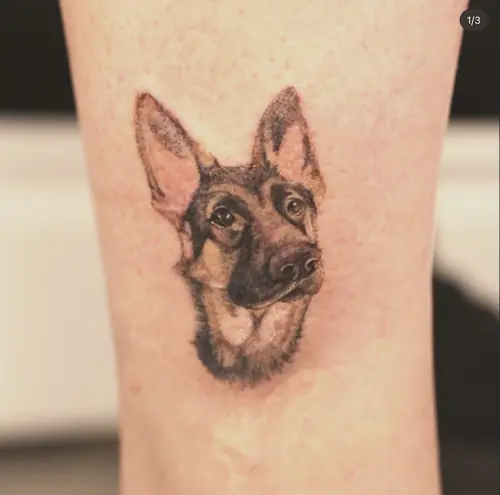 Realistic German Shepherd pet portrait tattoo by Maiku — WA Tattoo Las Vegas